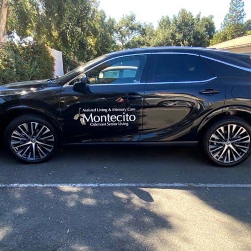 Vehicle Graphics